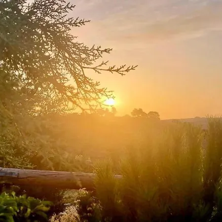 別荘 Amanecer Naranjos ロンダ