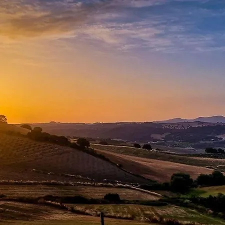 Amanecer Naranjos * ロンダ